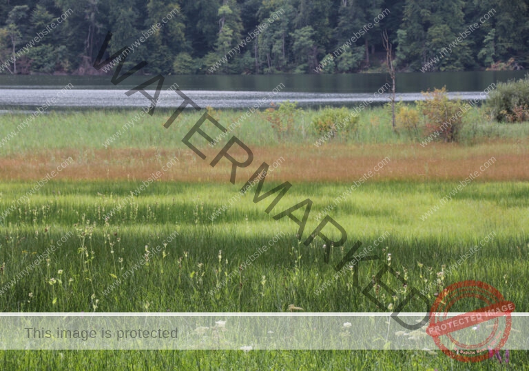 sehenswertes, Landschaft 055