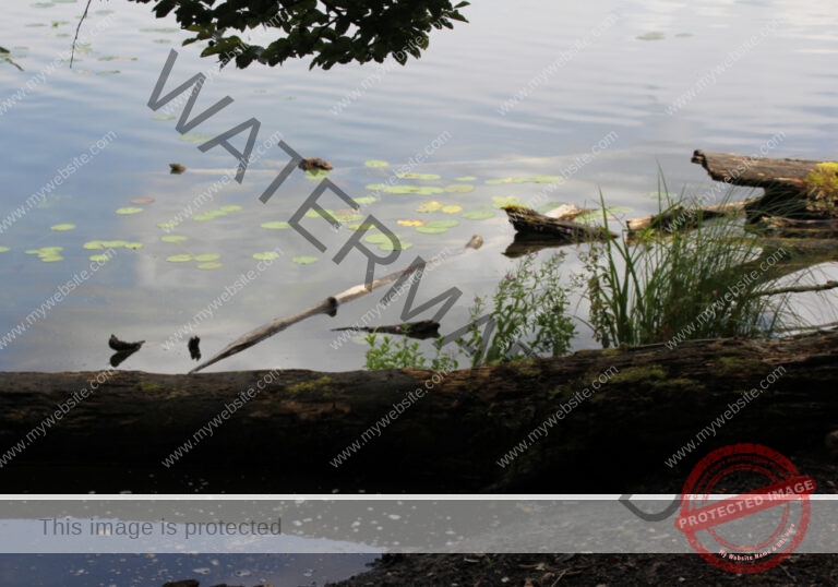 sehenswertes, Wasser 050