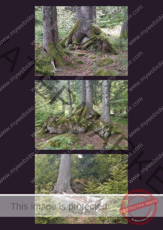 Kurzurlaub Schluchsee, Mai 2024 - Fotoalbum 06