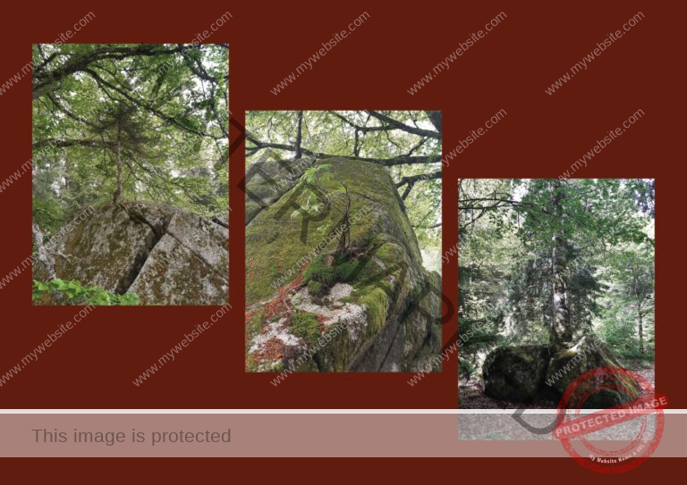 Kurzurlaub Schluchsee, Mai 2024 - Fotoalbum 07