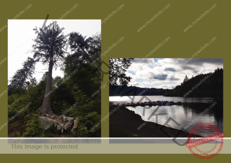 Kurzurlaub Schluchsee, Mai 2024 - Fotoalbum 08