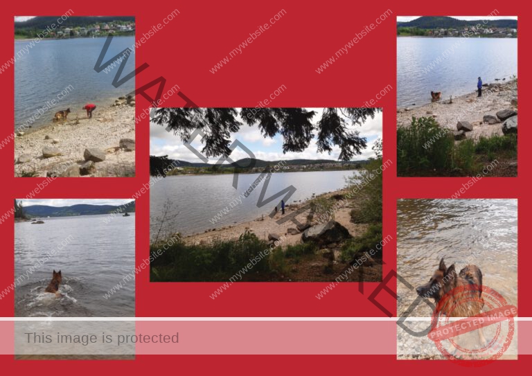 Kurzurlaub Schluchsee, Mai 2024 - Fotoalbum 09