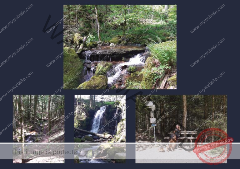 Kurzurlaub Schluchsee, Mai 2024 - Fotoalbum 12