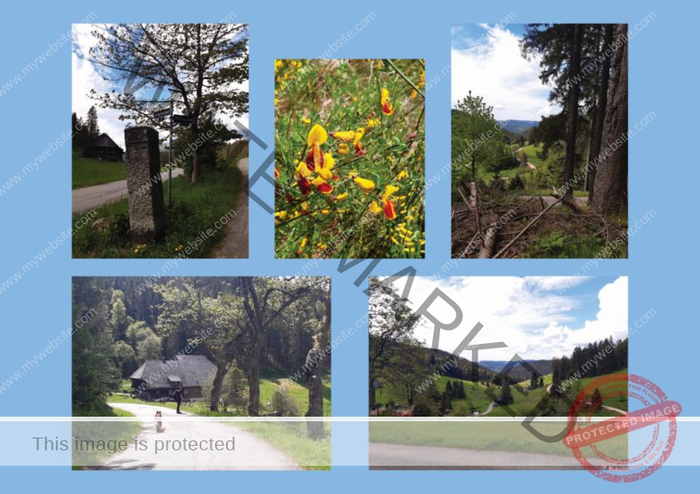 Kurzurlaub Schluchsee, Mai 2024 - Fotoalbum 18