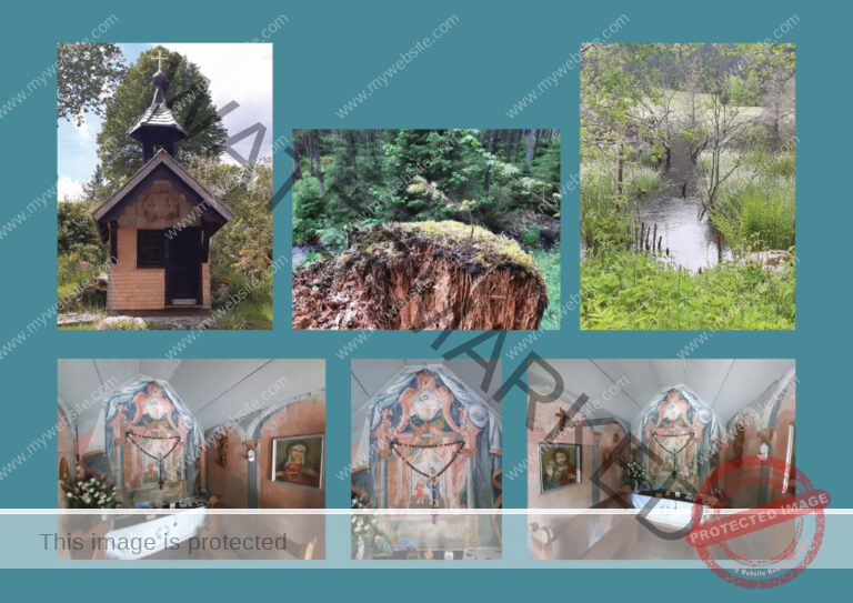 Kurzurlaub Schluchsee, Mai 2024 - Fotoalbum 19