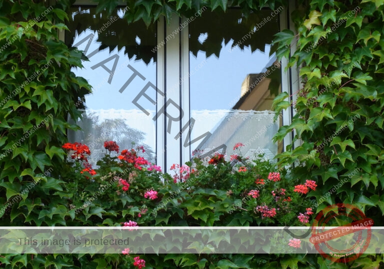 sehenswertes, Fenster 048