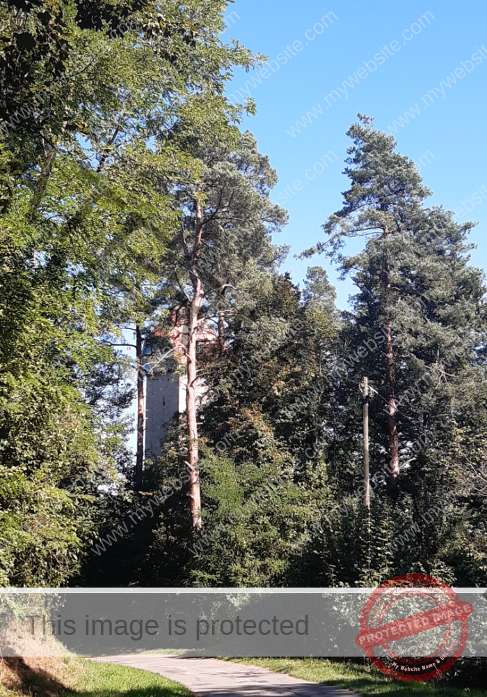 ruh -Schütte 2024 -209