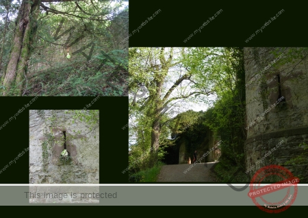 2022-05-07 Burgruine Hohennagold 02f