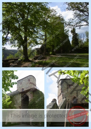 2022-05-07 Burgruine Hohennagold 06f