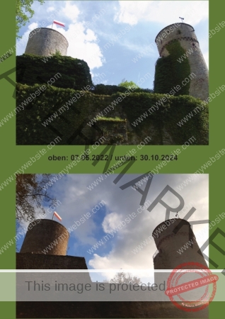 2024-10-30 Burgruine Hohennagold 01