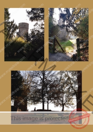 2024-10-30 Burgruine Hohennagold 02