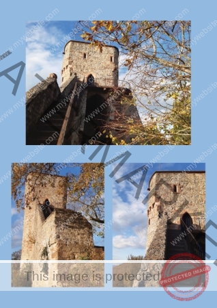 2024-10-30 Burgruine Hohennagold 03