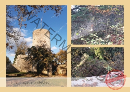 2024-10-30 Burgruine Hohennagold 04