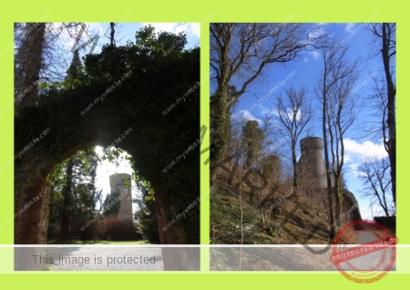 Burgruine Hohennagold 03