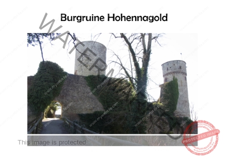 Deckblatt Burg Nagold