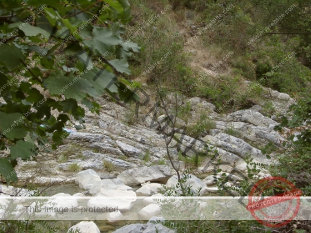 Sommerurlaub 08-2001, Bordighera_-020
