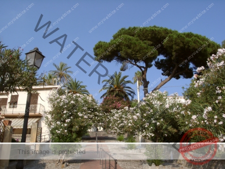 Sommerurlaub 08-2001, Bordighera_-046