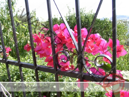 Sommerurlaub 08-2001, Bordighera_-071
