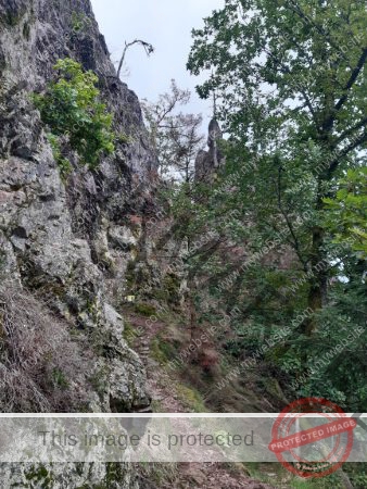 Wanderung 17.08.2023 - 021_Burg Hohenschrammberg