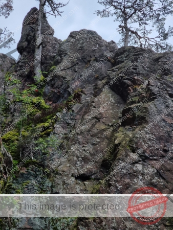 Wanderung 17.08.2023 - 023_Burg Hohenschrammberg