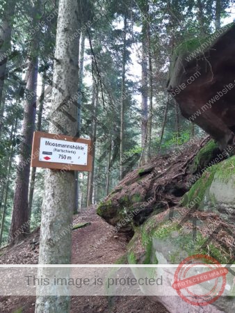 Wanderung 17.08.2023 - 049_Burg Hohenschrammberg
