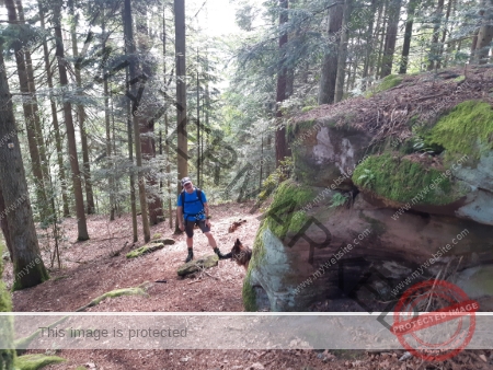 Wanderung 17.08.2023 - 051_Burg Hohenschrammberg