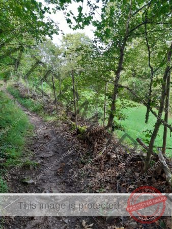 Wanderung 17.08.2023 - 053_Burg Hohenschrammberg