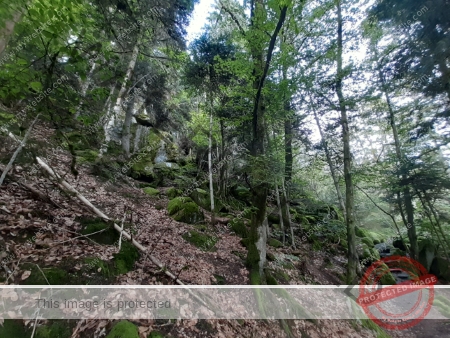 Wanderung 17.08.2023 - 101_Burg Hohenschrammberg