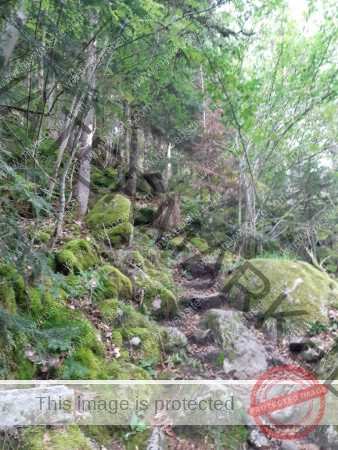 Wanderung 17.08.2023 - 105_Burg Hohenschrammberg