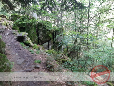 Wanderung 17.08.2023 - 107_Burg Hohenschrammberg