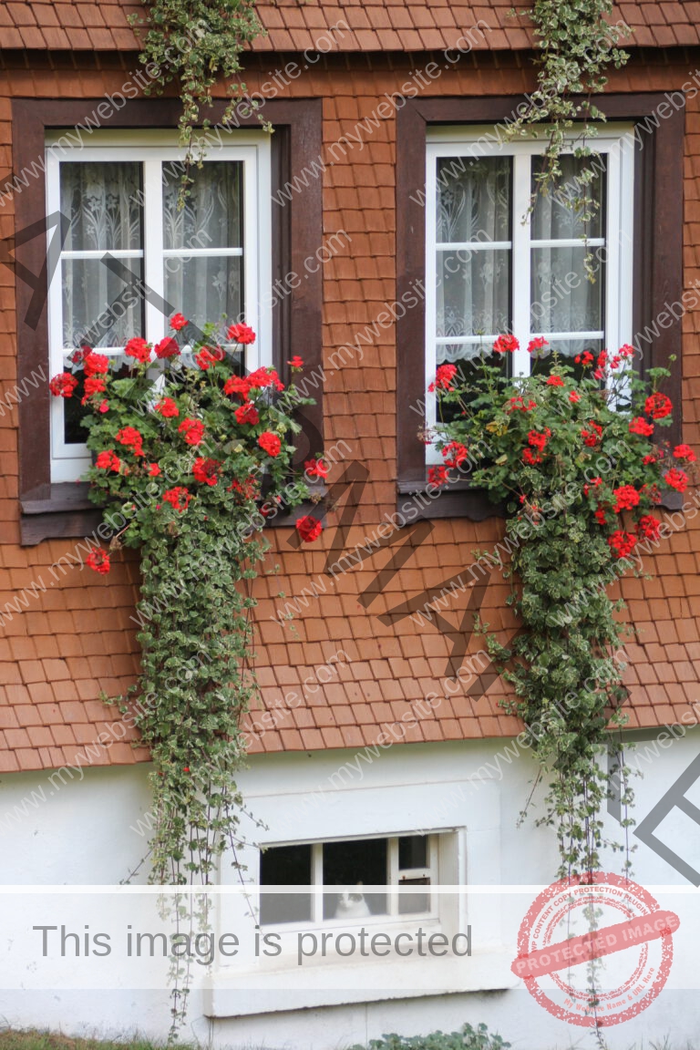 sehenswertes, Fenster 053