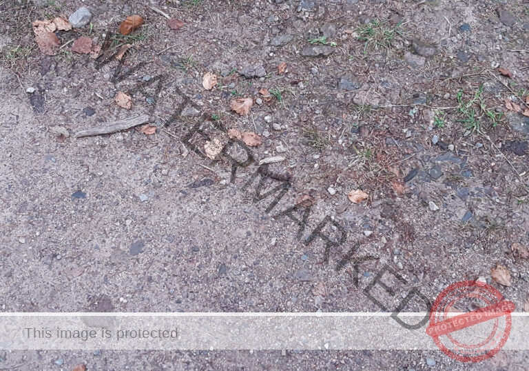 LB Duos, versch. aus Urlauben 170