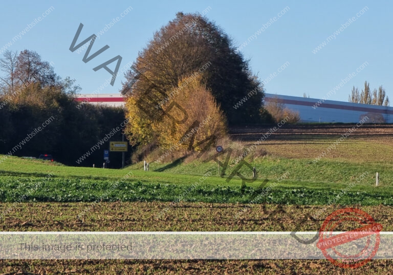 dud, M-K Pflanzen 032