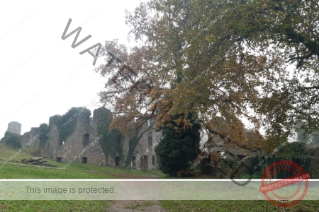 2024-11-10 Hohentwiel 01