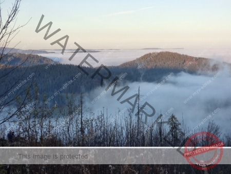 Kurzrulaub Windgfällsee LB Nebel 02