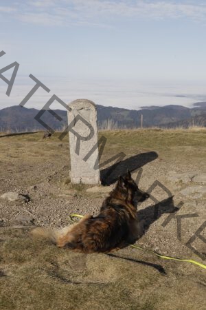 Kurzrulaub Windgfällsee LB Schatten 03