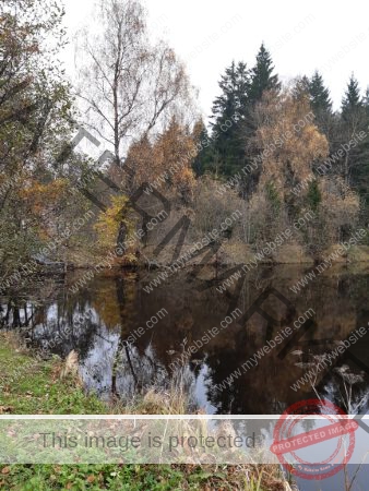 Kurzurlaub Windgfällsee LB Bäume_2024-11-07_06