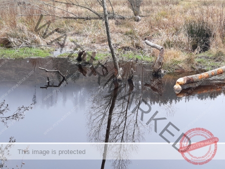 Kurzurlaub Windgfällsee LB Wasser_02