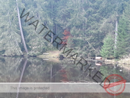 Kurzurlaub Windgfällsee LB Wasser_03