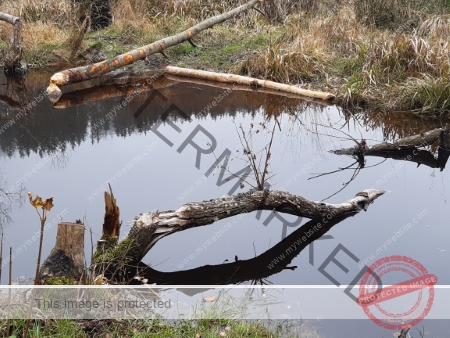Kurzurlaub Windgfällsee LB Wasser_04
