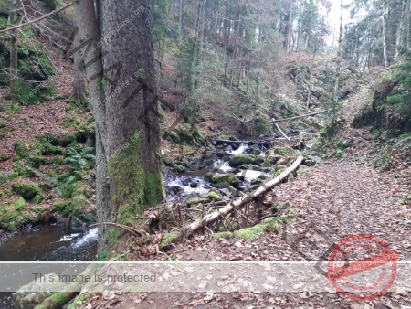 Kurzurlaub Windgfällsee LB Wasser_07