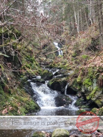 Kurzurlaub Windgfällsee LB Wasser_08
