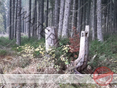 Kurzurlaub Windgfällsee LB verschiedenes_02