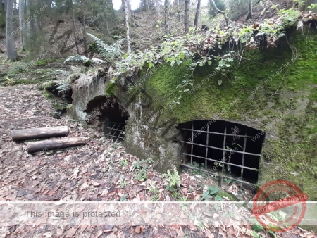 Kurzurlaub Windgfällsee LB verschiedenes_04
