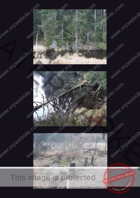 Kurzurlaub Windgfällweiher _Fotoalbum 06