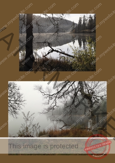 Kurzurlaub Windgfällweiher _Fotoalbum 11