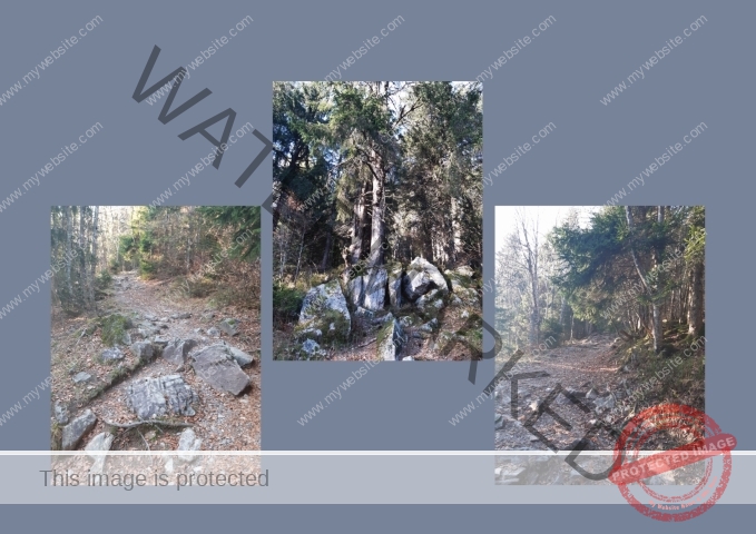 Kurzurlaub Windgfällweiher _Fotoalbum 12