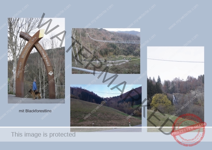 Kurzurlaub Windgfällweiher _Fotoalbum 17