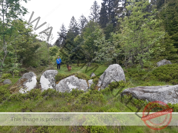 Eyka Kurzurlaub Schluchsee, Mai 2024 - 006