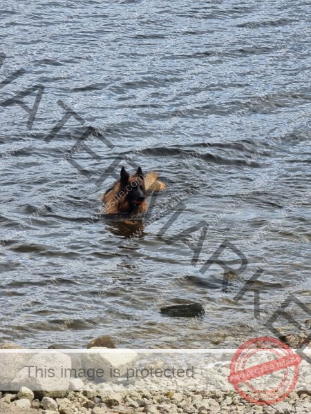 Eyka Kurzurlaub Schluchsee, Mai 2024 - 008